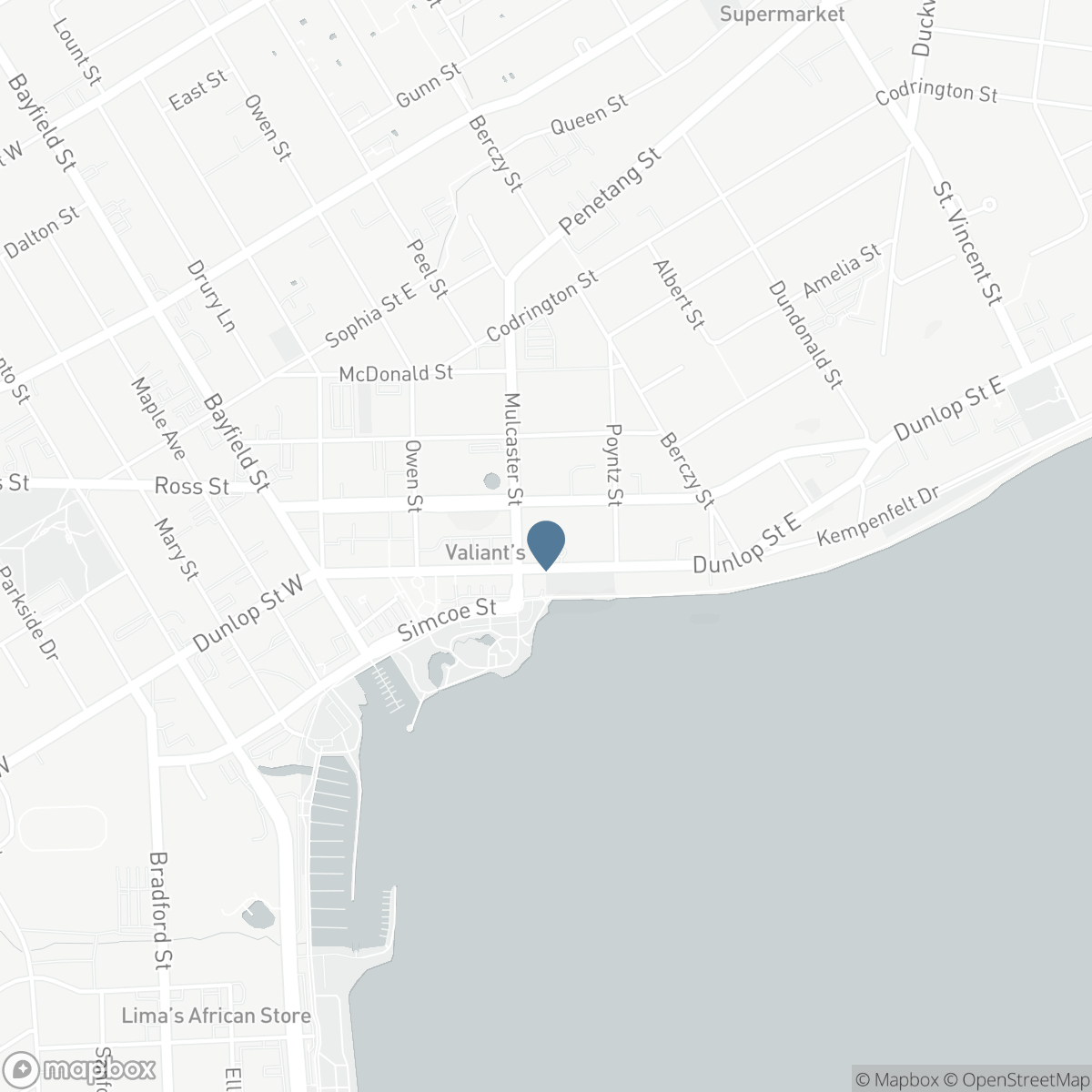 401 - 140 DUNLOP STREET E, Barrie, Ontario L4M 6H9
